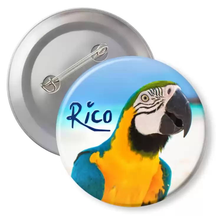 przypinka z agrafką Papugarnia Carmen - Rico