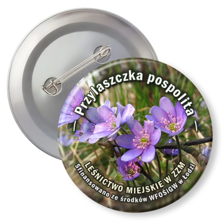 przypinka z agrafką Przylaszczka pospolita