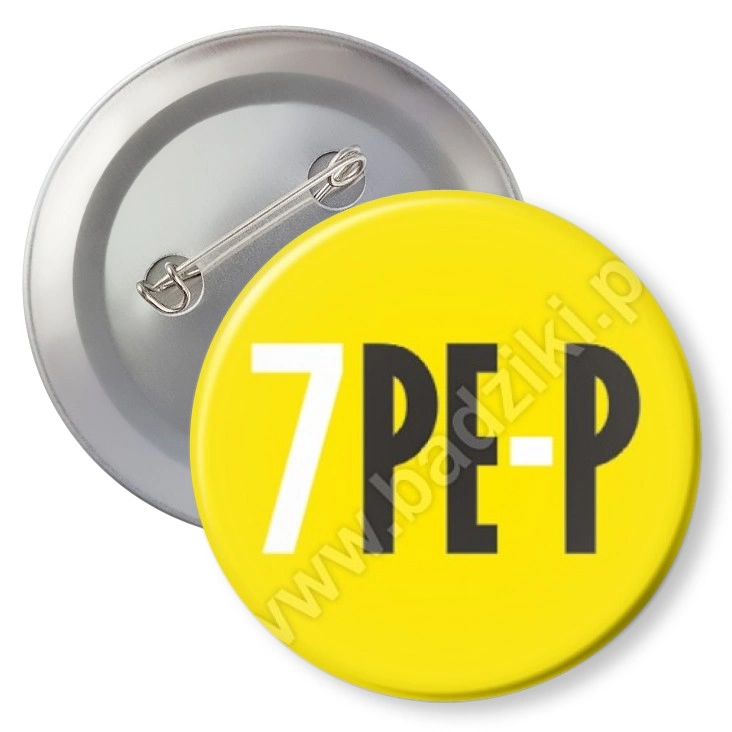 przypinka agrafka Akademia Sztuk Pięknych w Poznaniu