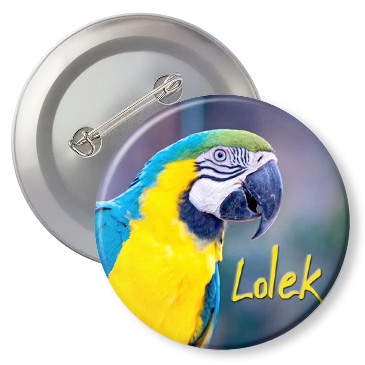 przypinka z agrafką Papugarnia Carmen - LOLEK