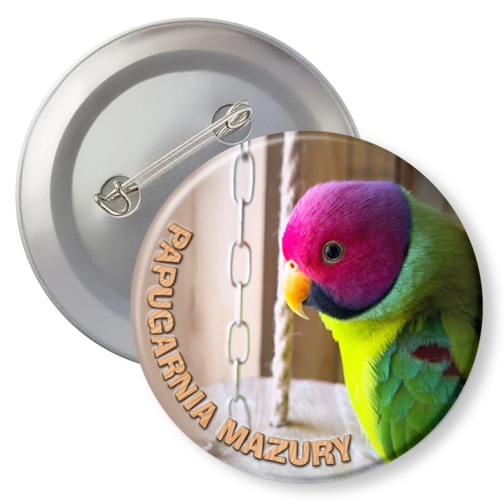 przypinka agrafka Papugarnia Mazury