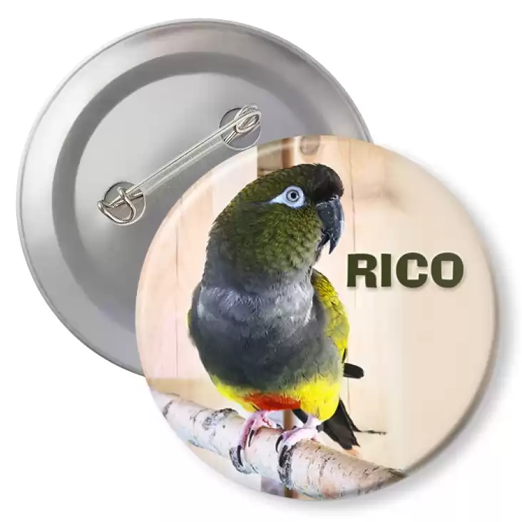 przypinka z agrafką Rico