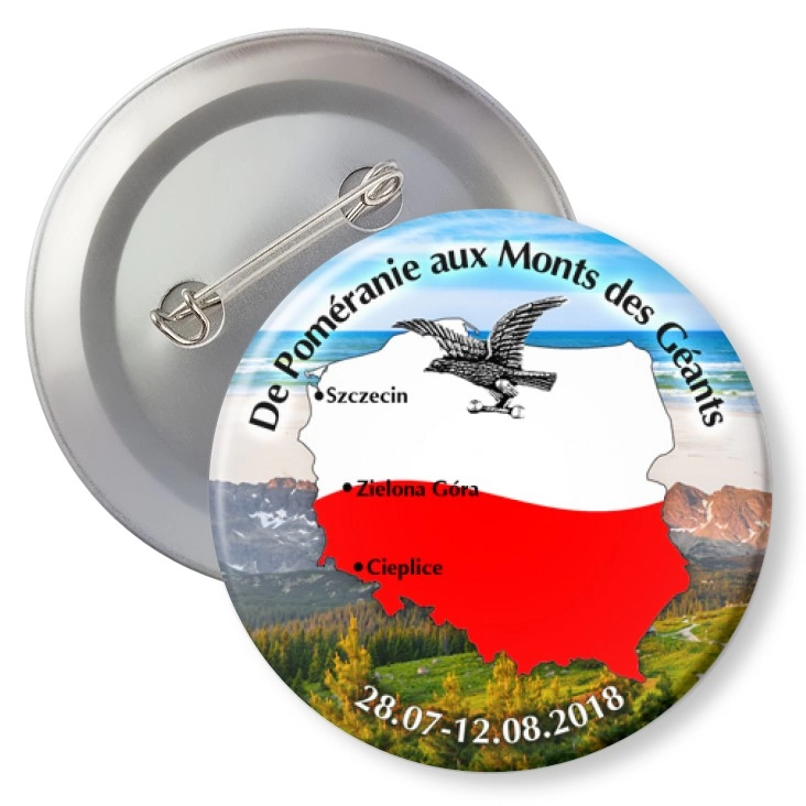 przypinka z agrafką Sokół