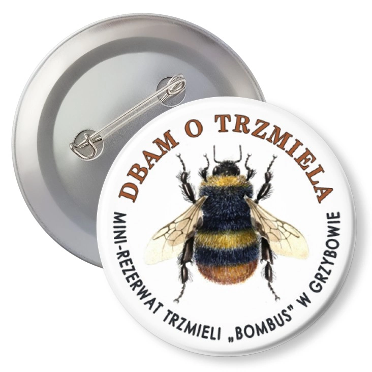 przypinka z agrafką Trzmiel Bombus