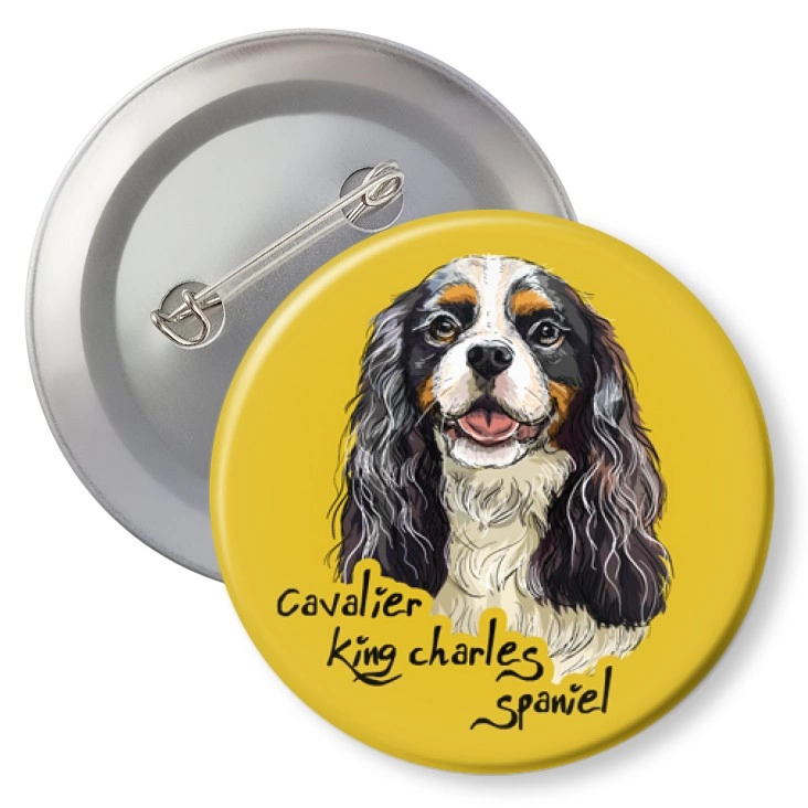 przypinkaCavalier king charles spaniel
