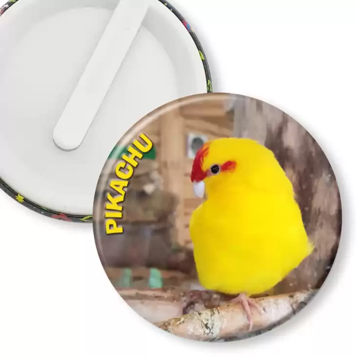 przypinka klips Papugarnia Mazury Pikachu