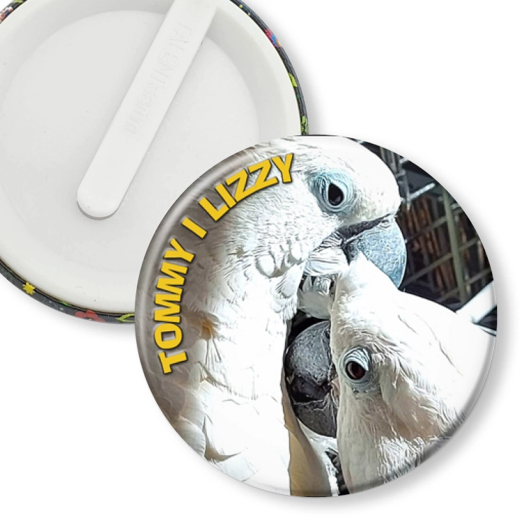 przypinka klips Papugi Tommy i Lizy