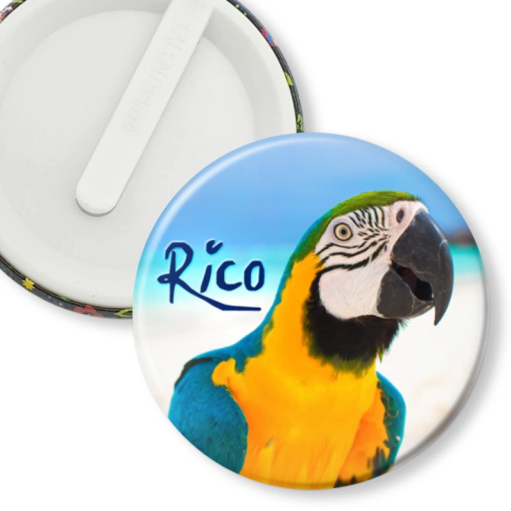 przypinka klips Papugarnia Carmen - Rico
