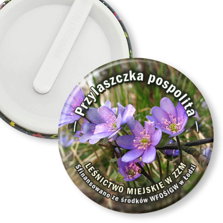 przypinka klips Przylaszczka pospolita