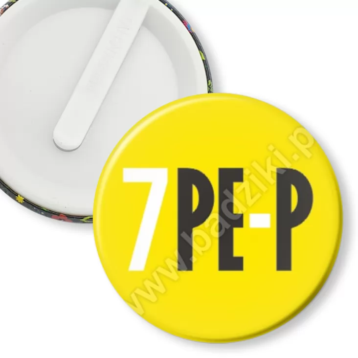 przypinka klips Akademia Sztuk Pięknych w Poznaniu