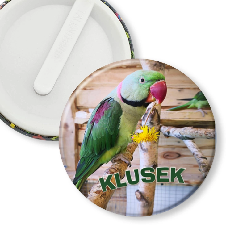przypinka klips Klusek