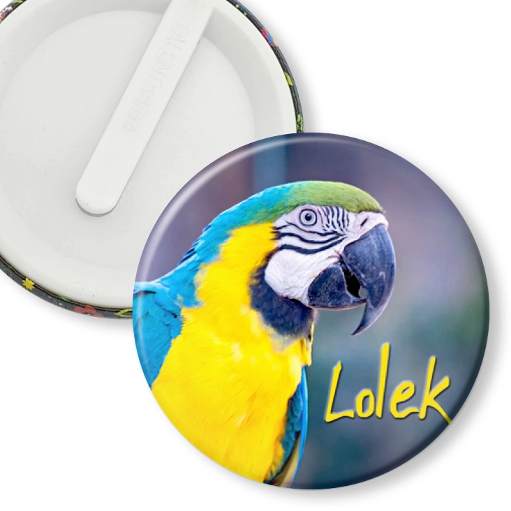 przypinka klips Papugarnia Carmen - LOLEK