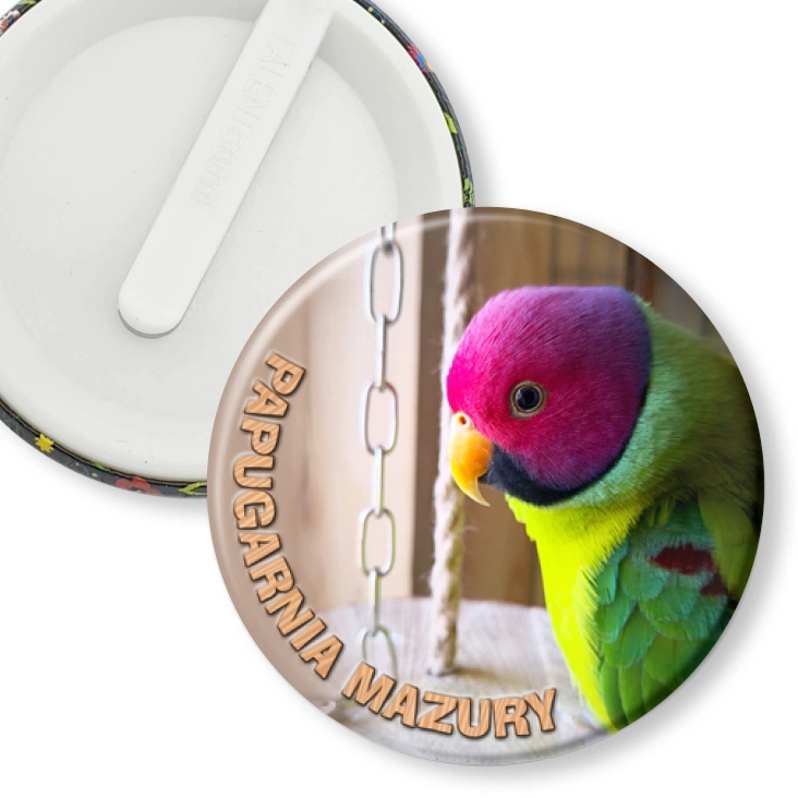przypinka klips Papugarnia Mazury