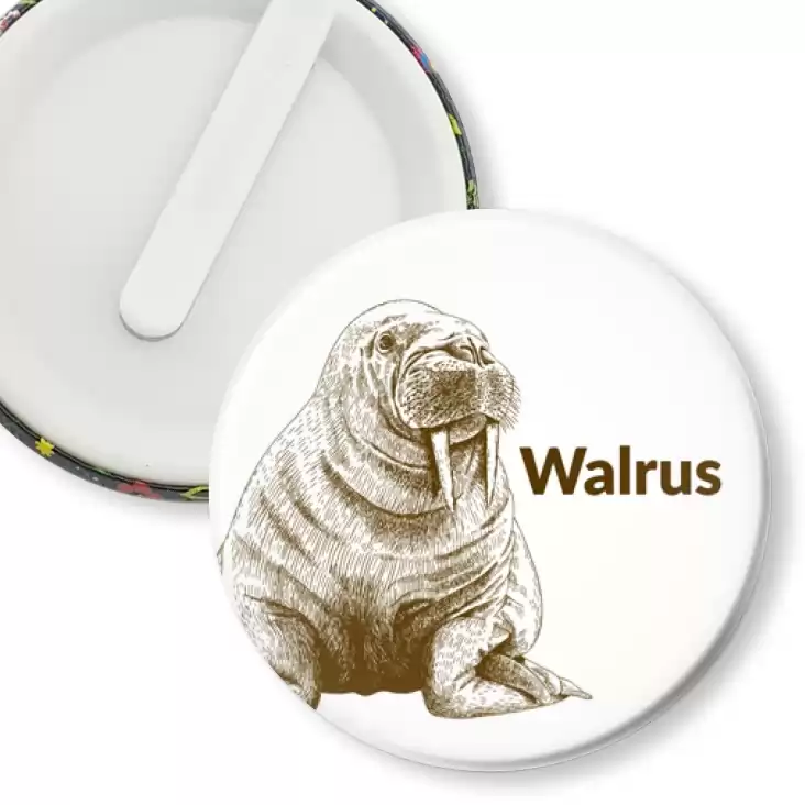 przypinka klips Walrus