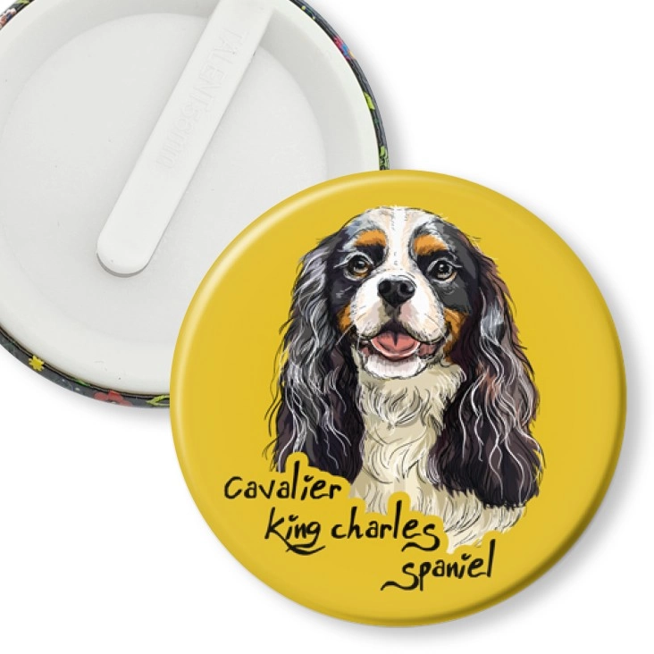 przypinka klips Cavalier king charles spaniel