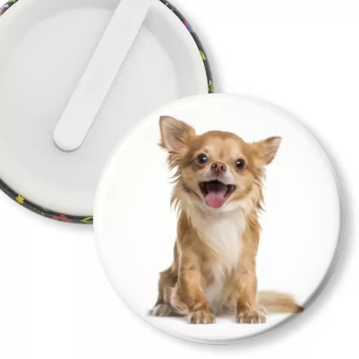 przypinka klips Pies Chihuahua
