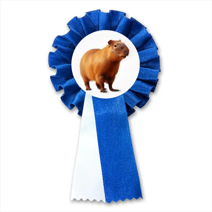 przypinka kotylion Kapibara na białym tle