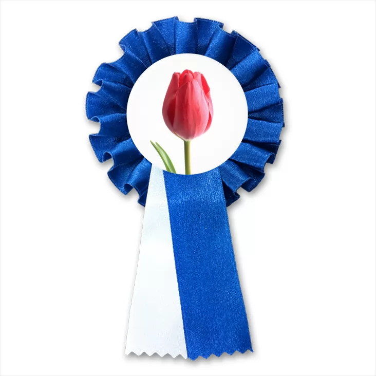 przypinka kotylion Tulipan