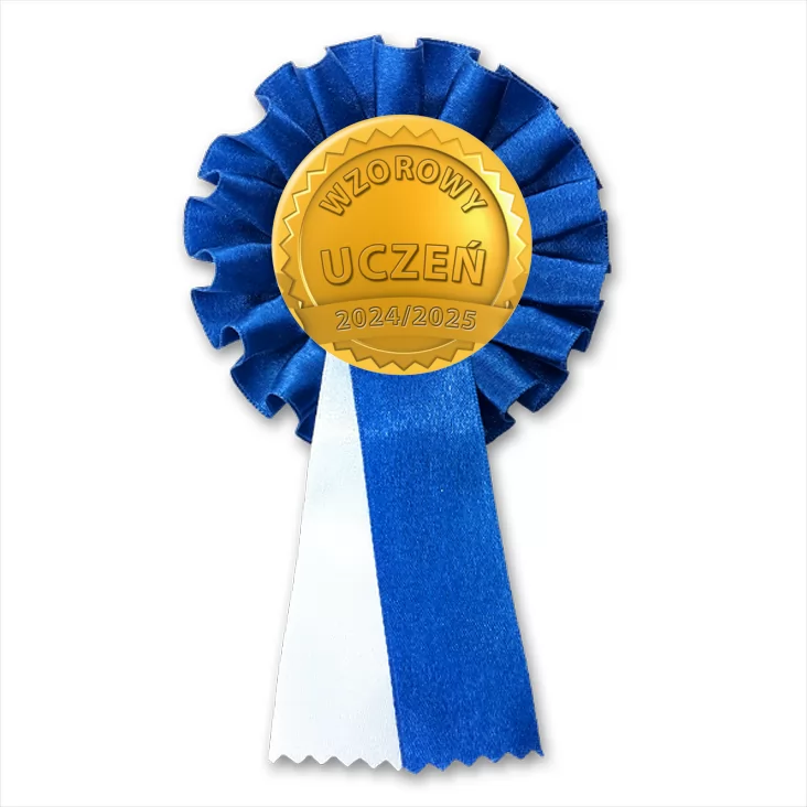 przypinka kotylion Wzorowy uczeń złoty medal