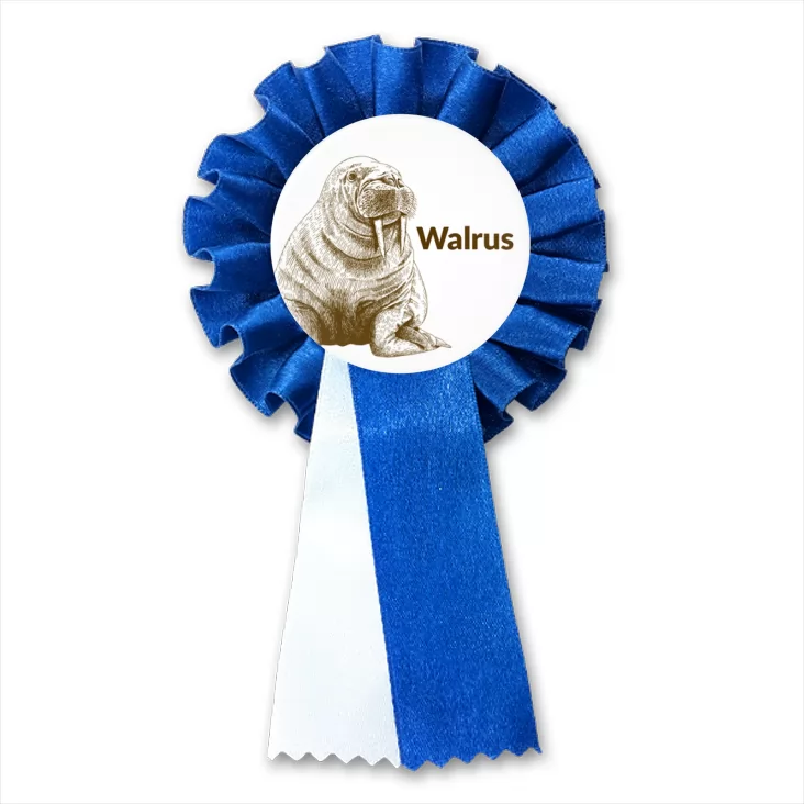 przypinka kotylion Walrus