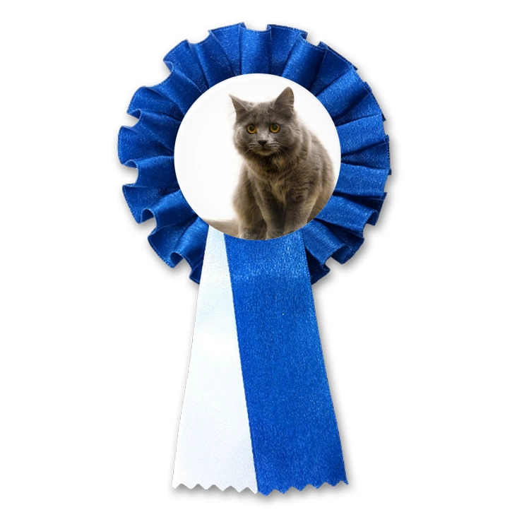 przypinka kotylion Kot