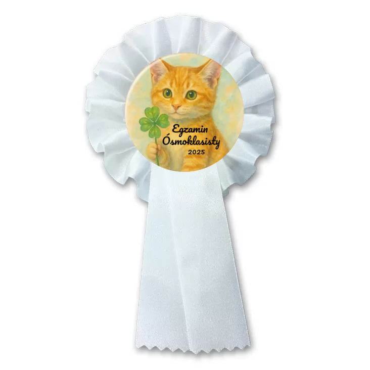 przypinka kotylion Egzamin ósmoklasisty z rudym kotem