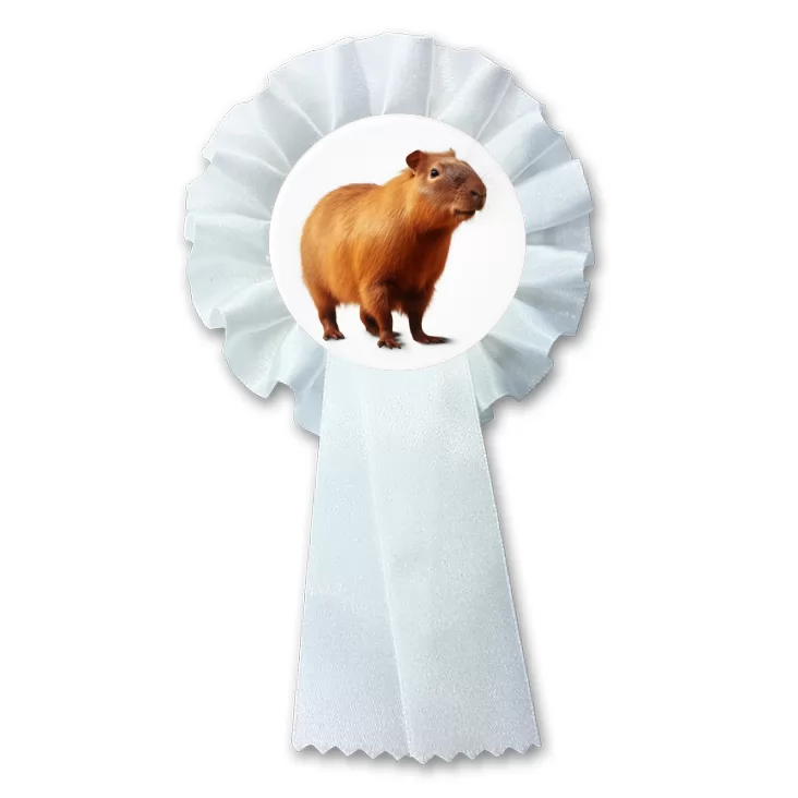 przypinka kotylion Kapibara na białym tle