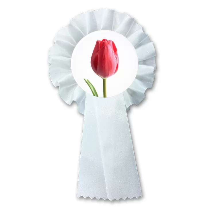 przypinka kotylion Tulipan