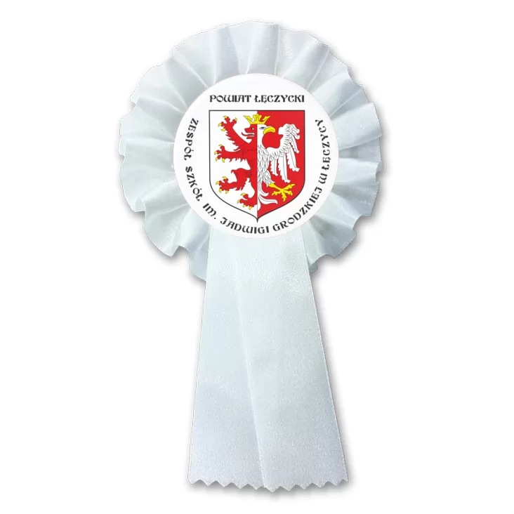 przypinka kotylion Zespół Szkół w Łęczycy