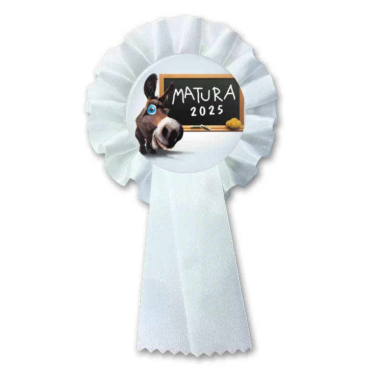 przypinka kotylion Matura osioł przy tablicy