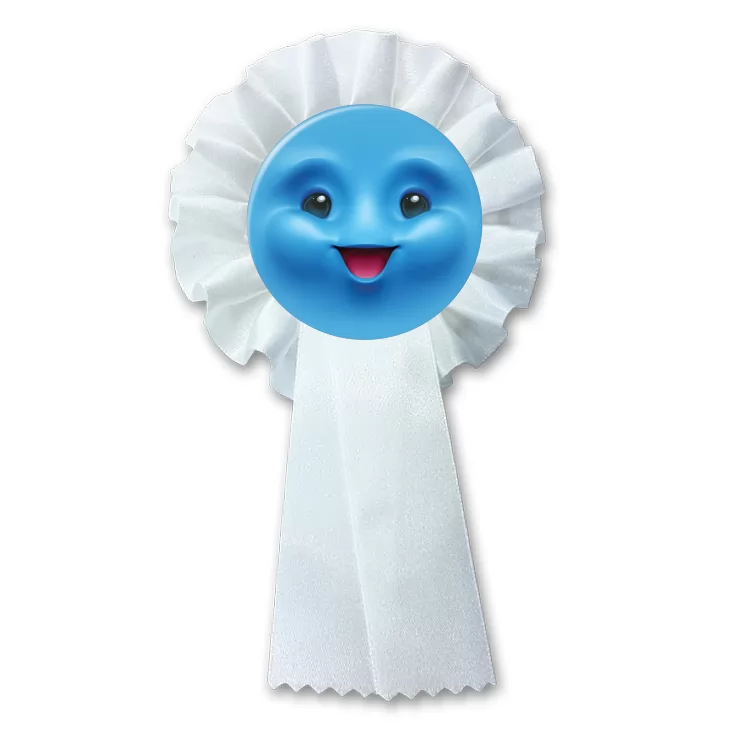 przypinka kotylion Buźka