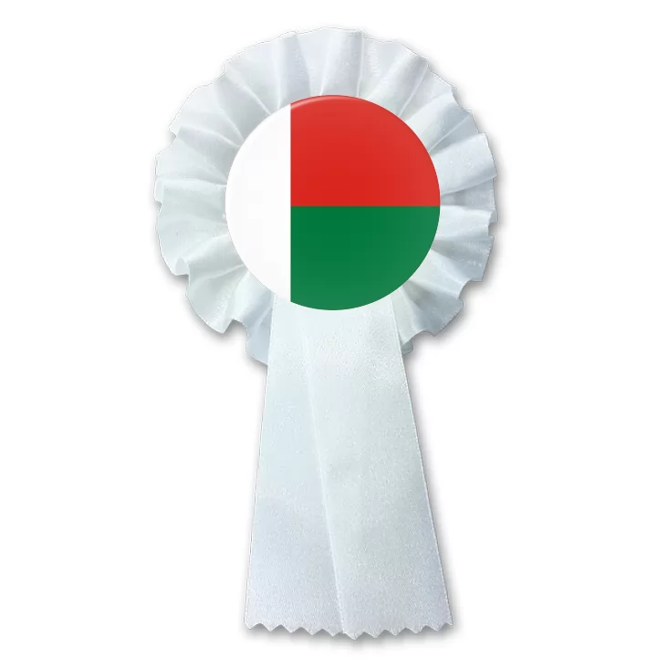 przypinka kotylion malagasy