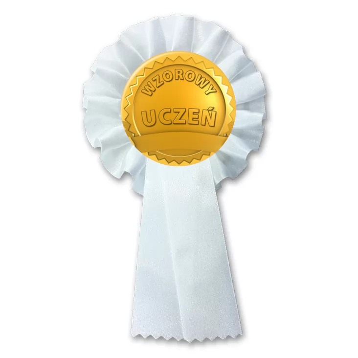 przypinka kotylion Wzorowy uczeń