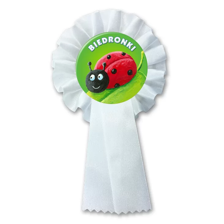 przypinka kotylion Biedronki