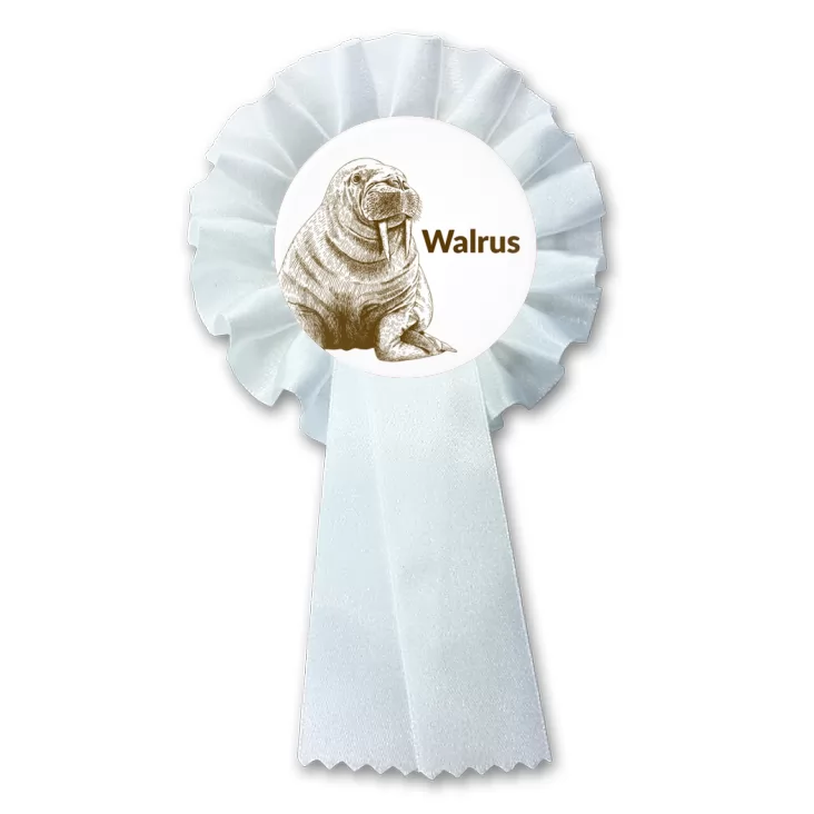 przypinka kotylion Walrus
