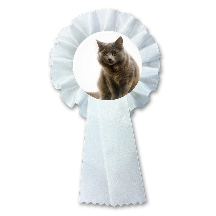 przypinka kotylion Kot