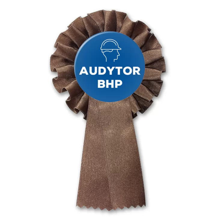 przypinka kotylion Audytor BHP