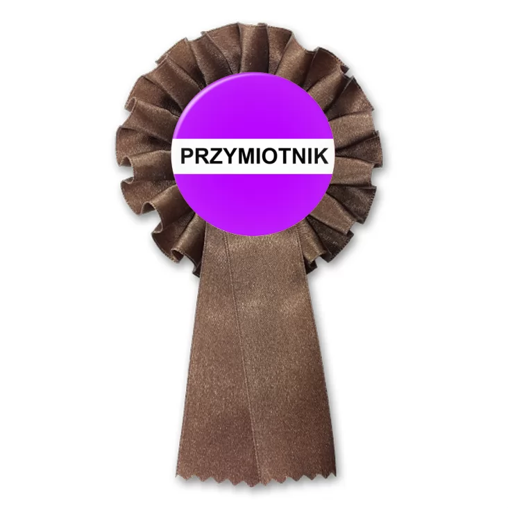 przypinka kotylion Gramatyka przymiotnik