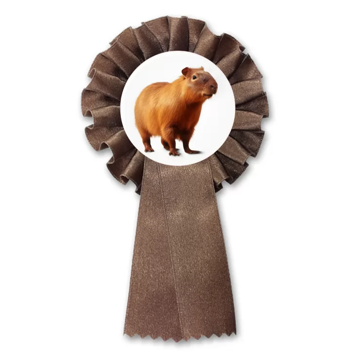 przypinka kotylion Kapibara na białym tle