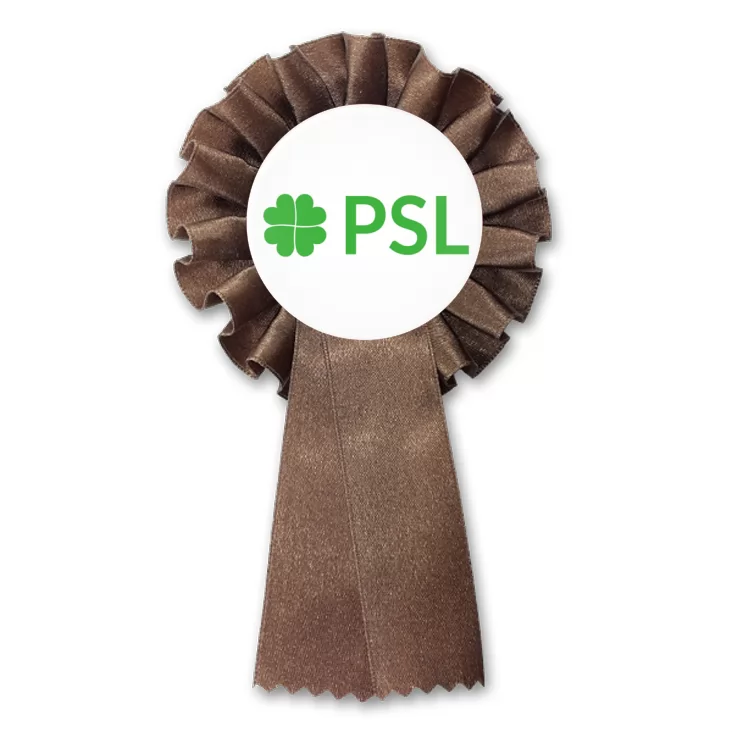 przypinka kotylion Polskie Stronnictwo Ludowe PSL