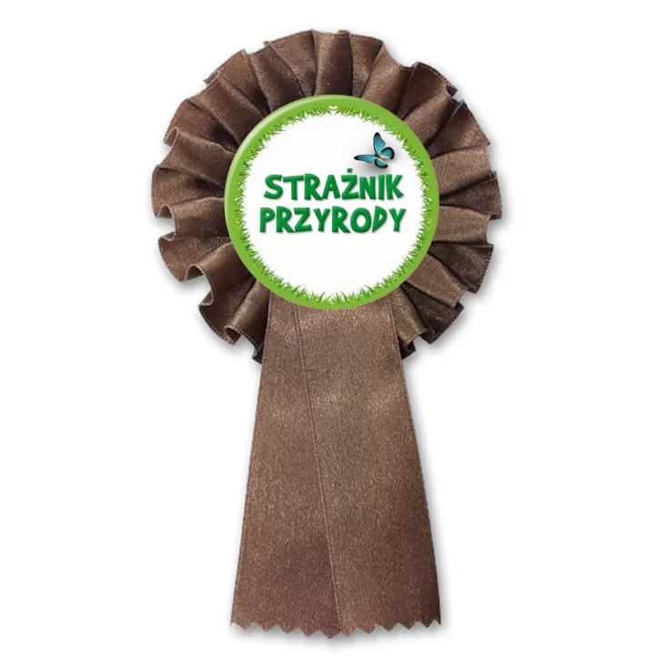 przypinka kotylion Strażnik Przyrody trawa z motylem