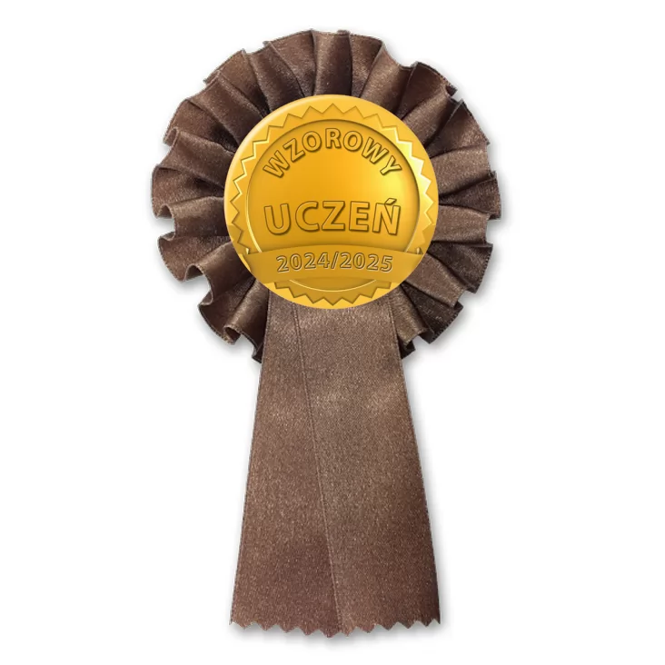 przypinka kotylion Wzorowy uczeń złoty medal