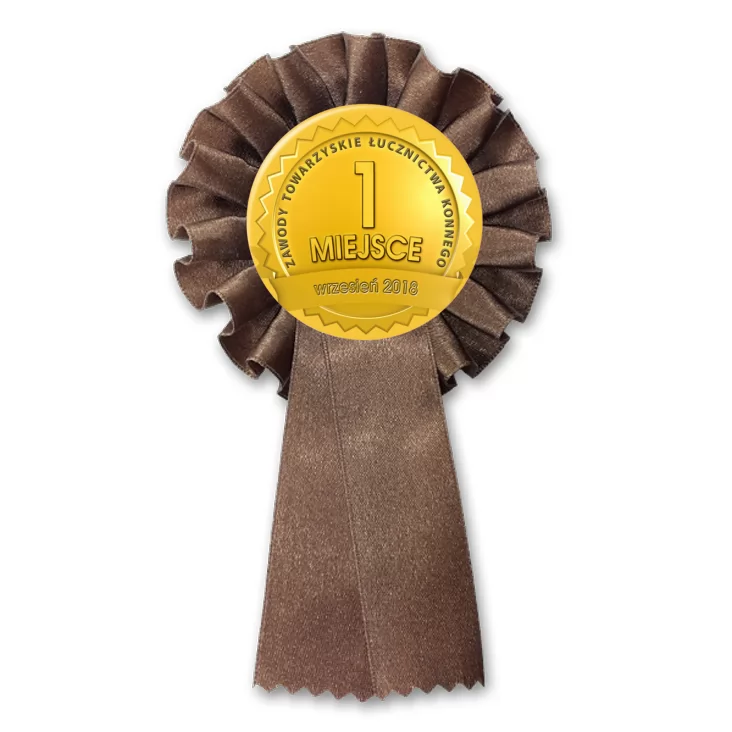 przypinka kotylion Zawody Towarzyskie Łucznictwa Konnego Złoty Medal