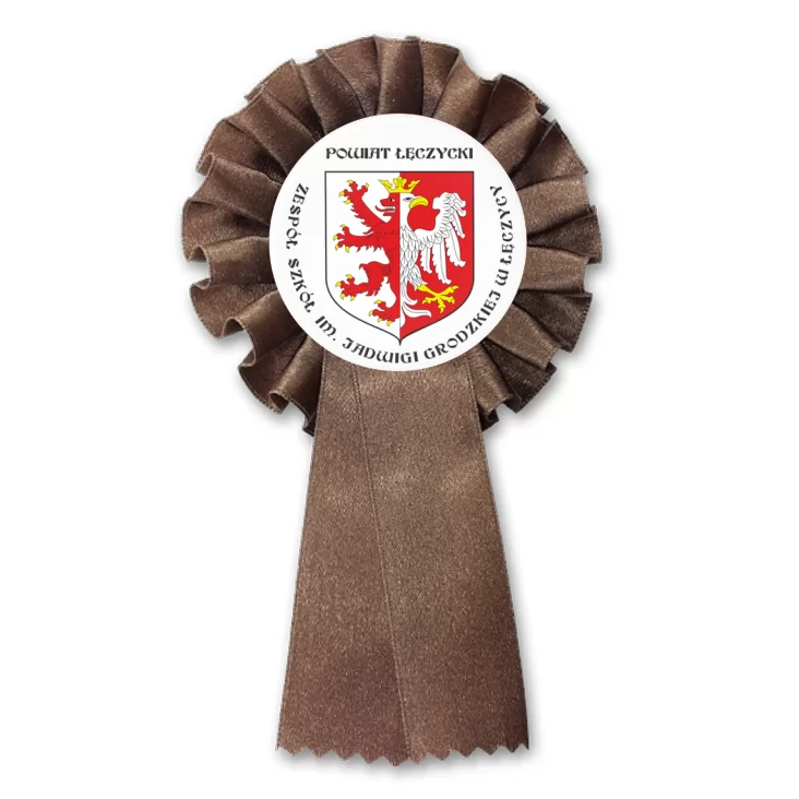 przypinka kotylion Zespół Szkół w Łęczycy