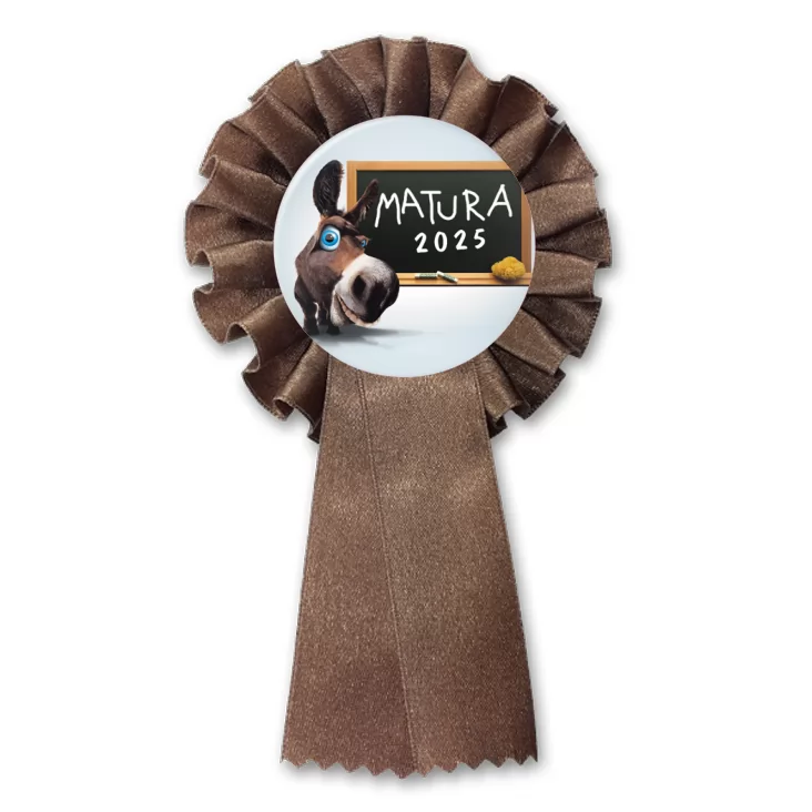 przypinka kotylion Matura osioł przy tablicy