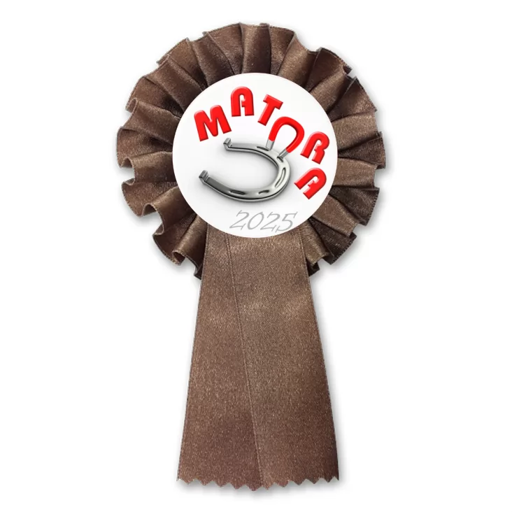 przypinka kotylion Matura podkowa na szczęście