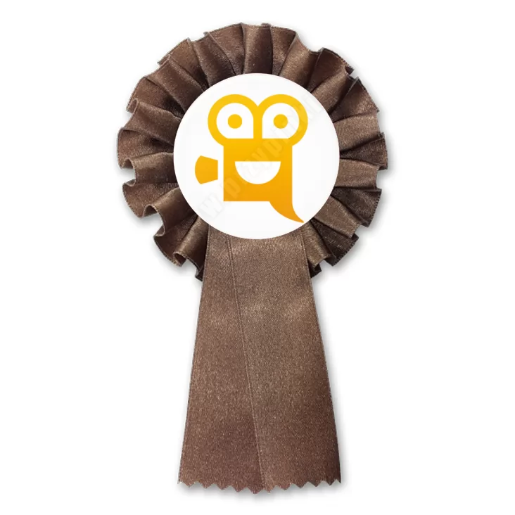 przypinka kotylion Fundacja Rozwoju Kina
