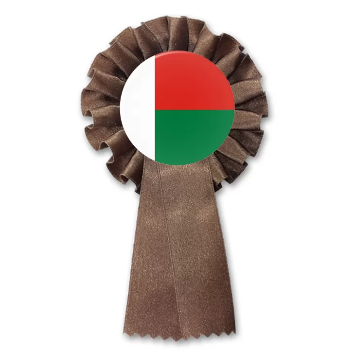 przypinka kotylion malagasy