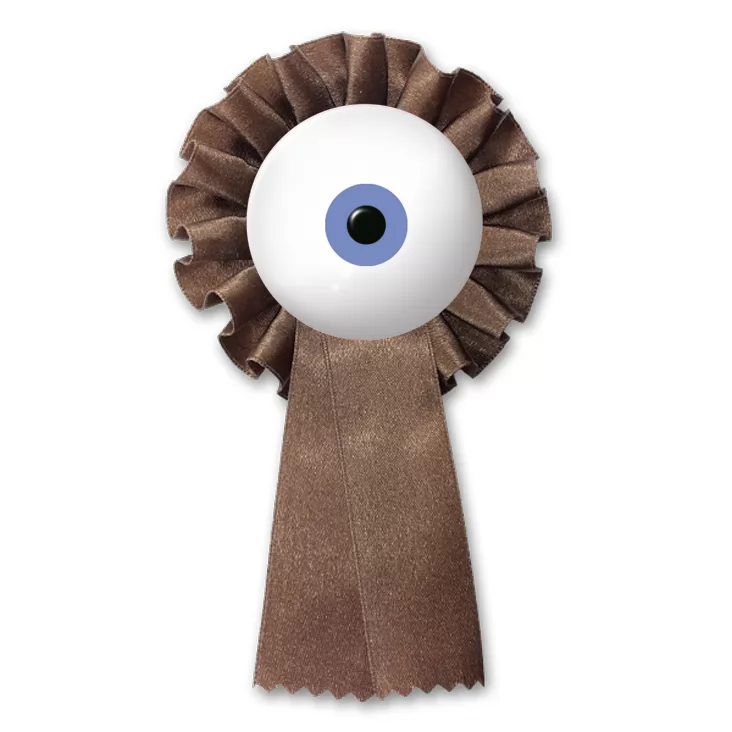 przypinka kotylion Oko