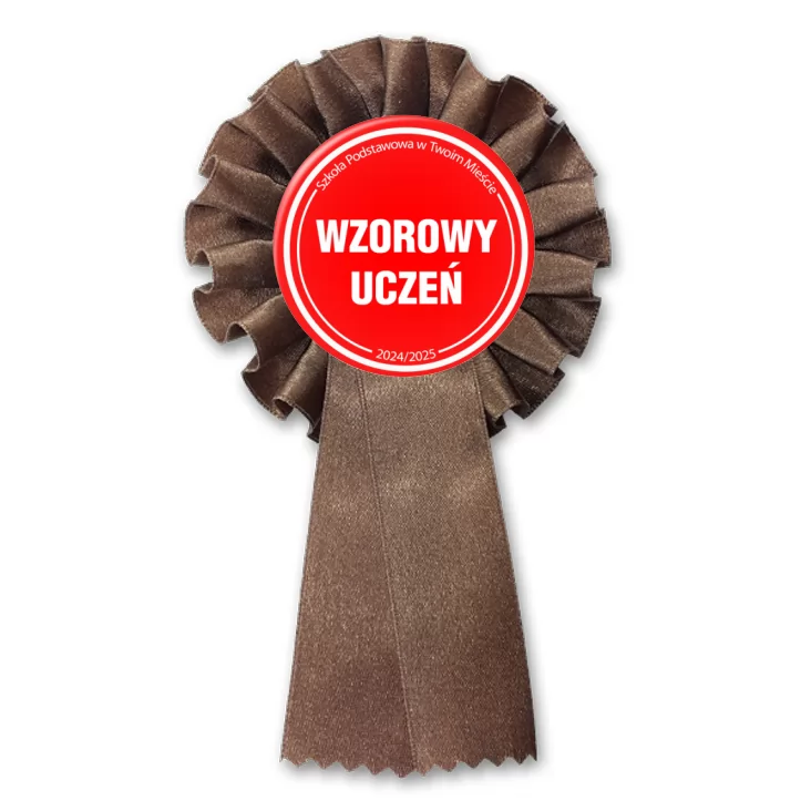 przypinka kotylion Wzorowy Uczeń Odznaka